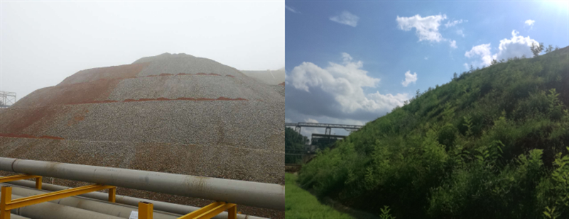 高硫低铜矿石堆场无土生态修复关键技术开发及工程化应用